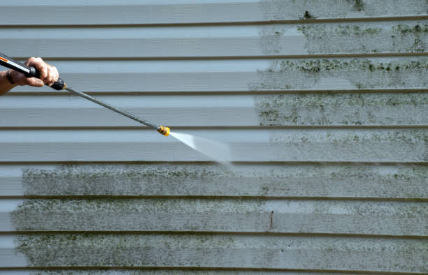Why Choose Our Certified Pressure Washing Experts for Your Project Needs in Port Isabel, TX?
