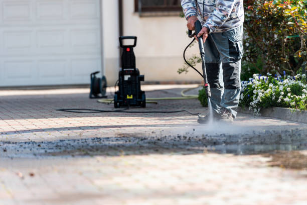Best Roof Pressure Washing  in Port Isabel, TX