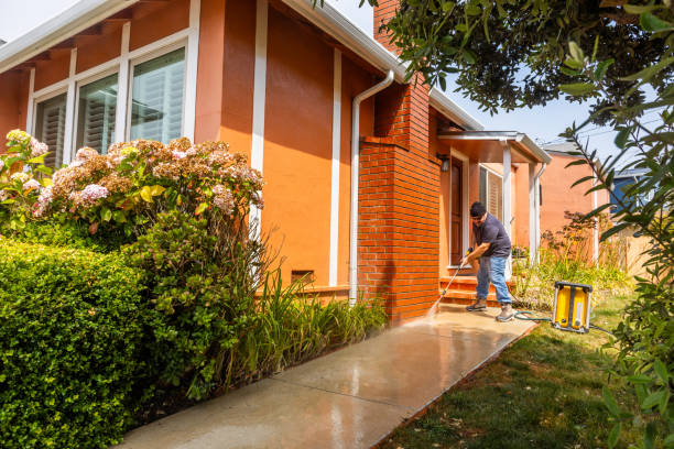 Best Best Pressure Washing Companies  in Port Isabel, TX
