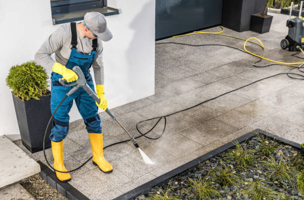 Best Pressure Washing Siding  in Port Isabel, TX
