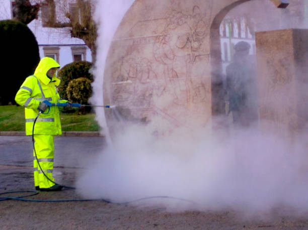 Best Roof Pressure Washing  in Port Isabel, TX